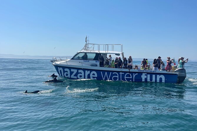 Boat Tour : Observation of Dolphins and Nazareth Canyon - Setting out from Nazaré’s Naval Club