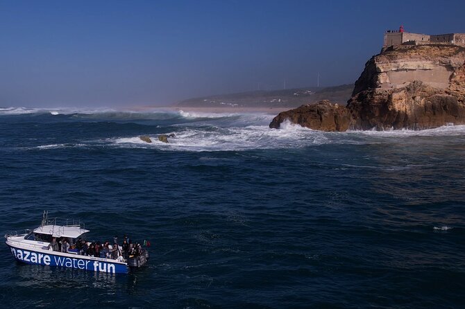 Boat Tour : Observation of Dolphins and Nazareth Canyon - Why the Nazaré Canyon matters