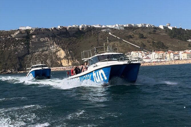 Boat Tour : Observation of Dolphins and Nazareth Canyon - Weighing the $78.60 price