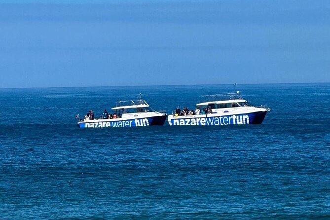Boat Tour : Observation of Dolphins and Nazareth Canyon - Weather, timing, and practical comfort
