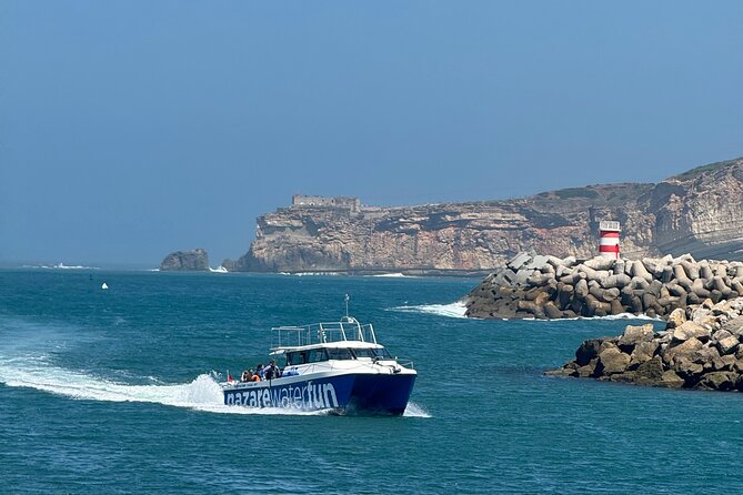 Boat Tour : Observation of Dolphins and Nazareth Canyon - Who will enjoy this boat trip most
