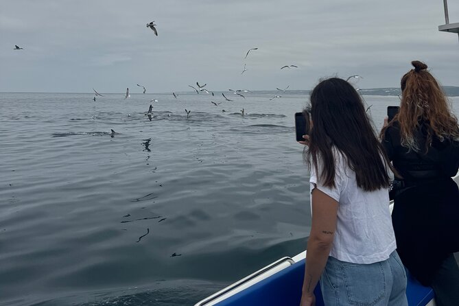 Boat Tour : Observation of Dolphins and Nazareth Canyon - The red lighthouse and Nazaré’s famous wave view