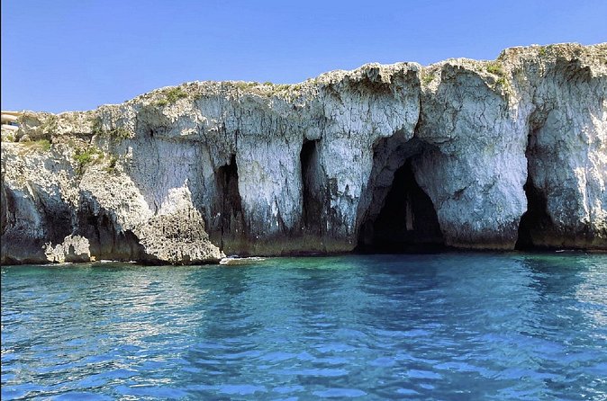 Boat tour with dolphin sighting - Circling Ortigia in forty minutes