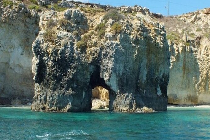 Boat tour with dolphin sighting - Plemmirio and the search for dolphins