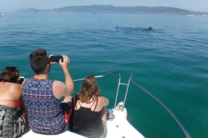 Boat Trip for Dolphin Watching along the Arrabida Coast and Sesimbra - Beaches, caves, and time in the water