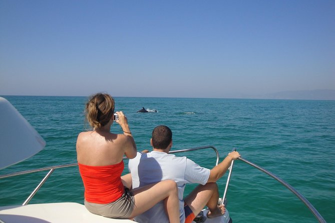 Boat Trip for Dolphin Watching along the Arrabida Coast and Sesimbra - How the small group changes the experience