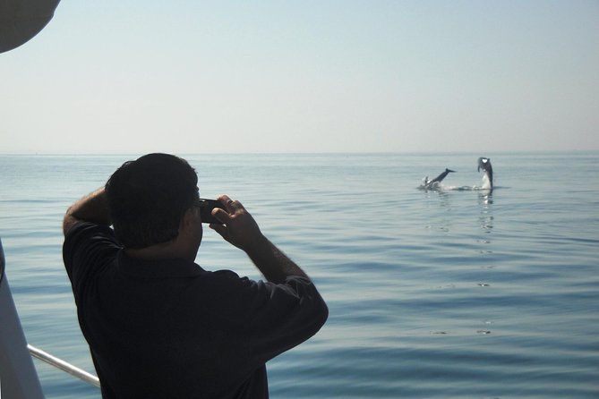 Boat Trip for Dolphin Watching along the Arrabida Coast and Sesimbra - Who will enjoy this Sesimbra outing