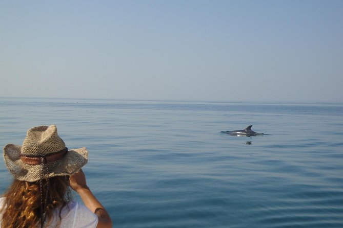 Boat Trip for Dolphin Watching along the Arrabida Coast and Sesimbra - Booking, weather, and practical details
