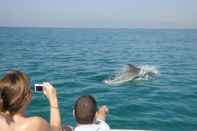 Boat Trip for Dolphin Watching along the Arrabida Coast and Sesimbra - Learning the sea, rocks, and past of the coast