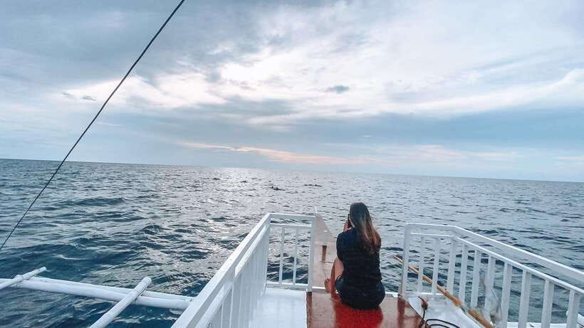 Bohol Balicasag Is Private Tour and Dolphin Watching - Snorkeling around Balicasag’s reefs
