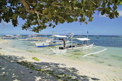 Bohol Balicasag Is Private Tour and Dolphin Watching