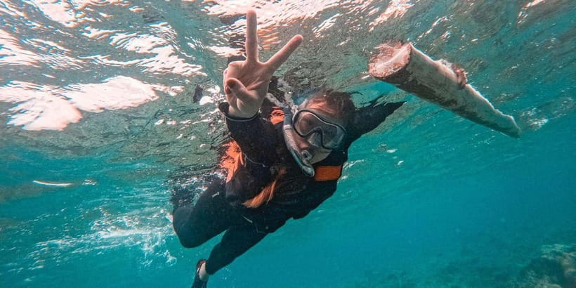 Bohol Dolphin Watching, Balicasag, and Virgin Island Tour - Dolphin watching: exciting, but never promised
