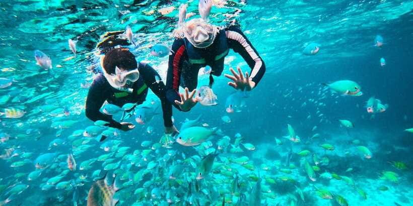 Bohol Dolphin Watching, Balicasag, and Virgin Island Tour - Who should book this island trip?