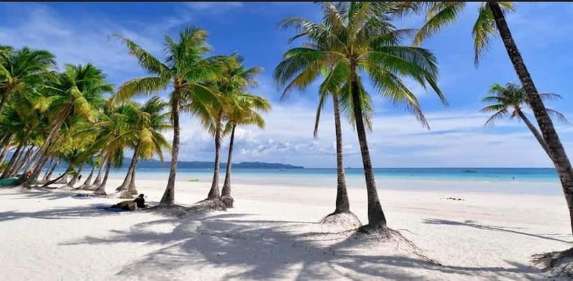 Bohol: Dolphin Watching & Sea Turtle Swim Island Tour - What the six-hour schedule feels like