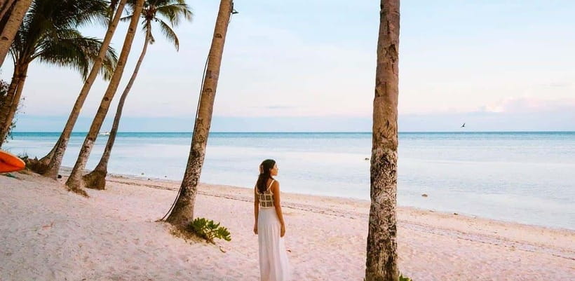 Bohol: Dolphin Watching & Sea Turtle Swim Island Tour - Is $49 a fair price?