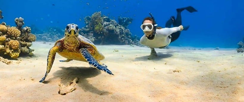 Bohol: Dolphin Watching & Sea Turtle Swim Island Tour - Practical packing advice for this boat trip