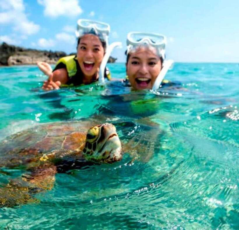 Bohol: Dolphin Watching & Sea Turtle Swim Island Tour - Balicasag’s coral reefs and fish