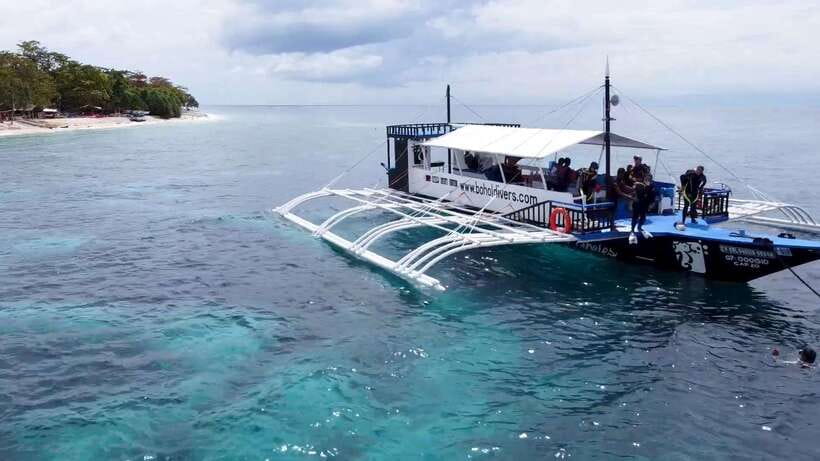 Bohol: Dolphin Watching & Snorkeling at Balicasag Island - Sunrise dolphins and Balicasag’s sea turtles