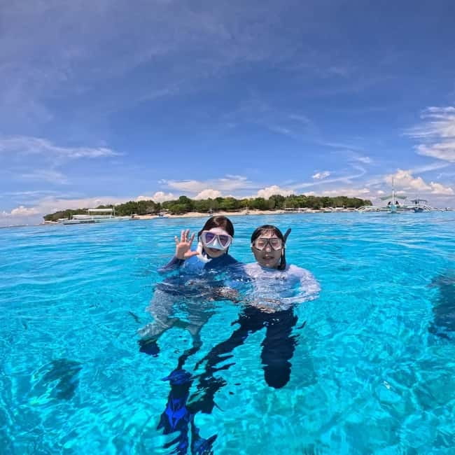 BOHOL: Dolphin Watching, Turtle Swim and Party Boat - A five-hour Bohol sea day with a clear purpose