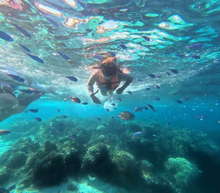 BOHOL: Dolphin Watching, Turtle Swim and Party Boat - Pamilacan Island and the dolphin search