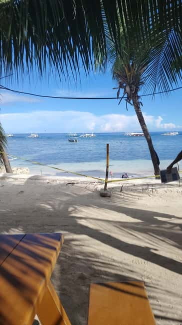 BOHOL: Dolphin Watching, Turtle Swim and Party Boat - Balicasag’s turtle area and coral reefs