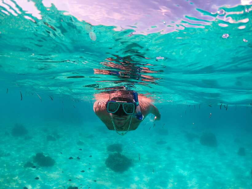Bohol: Pamilacan Island Dolphin/Turtle Watching Tour & Lunch - Key points at a glance