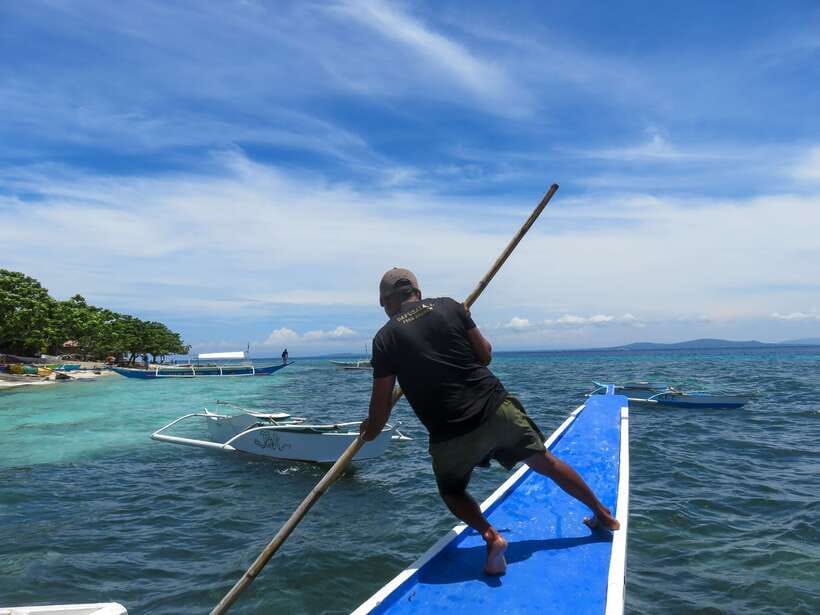 Bohol: Pamilacan Island Dolphin/Turtle Watching Tour & Lunch - Dolphin watching in the Bohol Sea