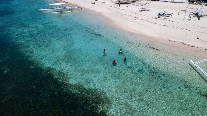 Bohol: Pamilacan Island Dolphin/Turtle Watching Tour & Lunch - Snorkeling with turtles and the coral garden