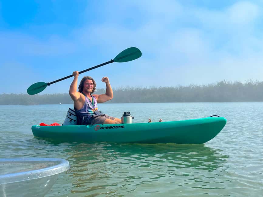 Bonita Springs Clear Kayak Tour with Dolphins & Manatees - Key points before you paddle