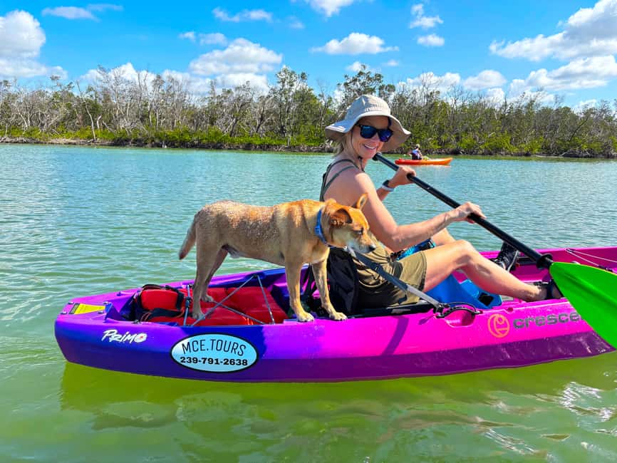 Bonita Springs Clear Kayak Tour with Dolphins & Manatees - What the Bonita Springs route is really like