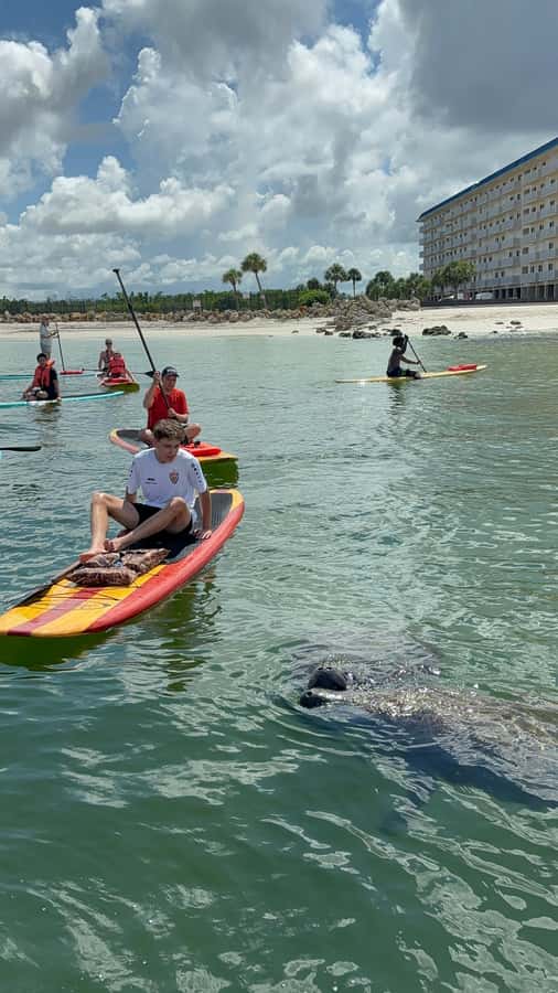 Bonita Springs Dolphin, Manatee & Sea Turtle Adventure Tour! - Why the guide matters