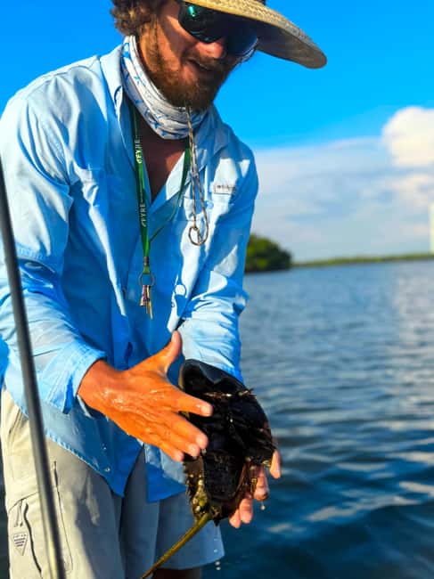 Bonita Springs: Kayak Tour with Manatees, Dolphins Sightings - Meeting at Big Hickory Pass Bridge