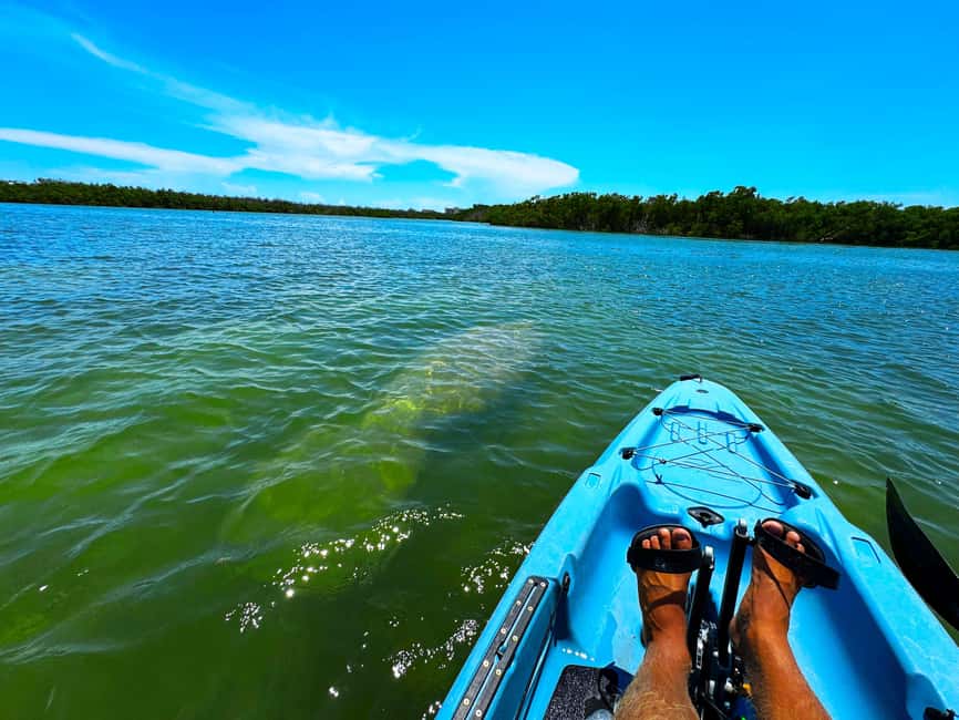 Bonita Springs: Kayak Tour with Manatees, Dolphins Sightings - Setting Out Around Big Hickory Island
