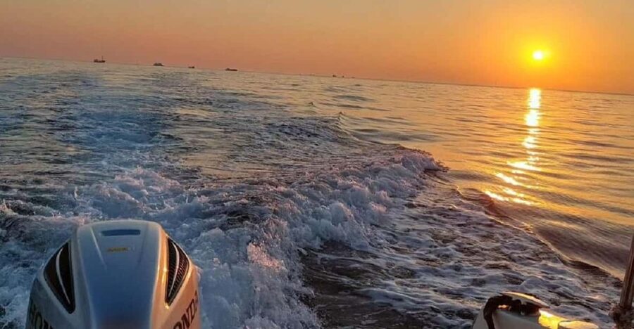 Brioni Private Sunset and Dolphin Boat Tour up to 11 people - Swimming in the Adriatic at sunset