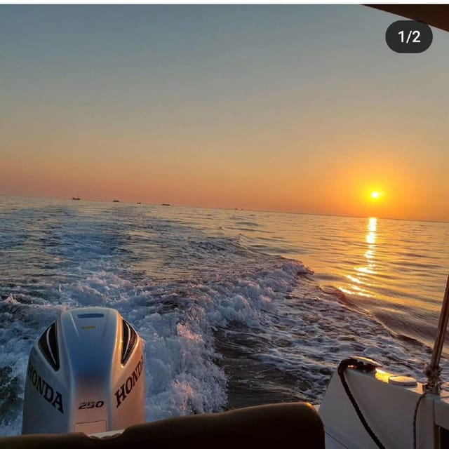 Brioni Private Sunset and Dolphin Boat Tour up to 11 people - What the $424 price really means