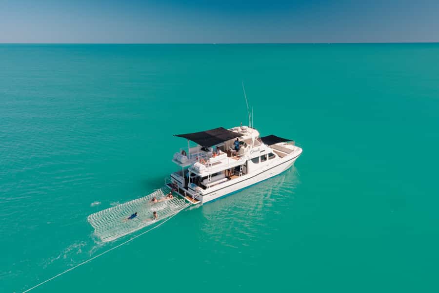 Broome: Snubfin Dolphin Cruises - The boom-net swim, when conditions allow