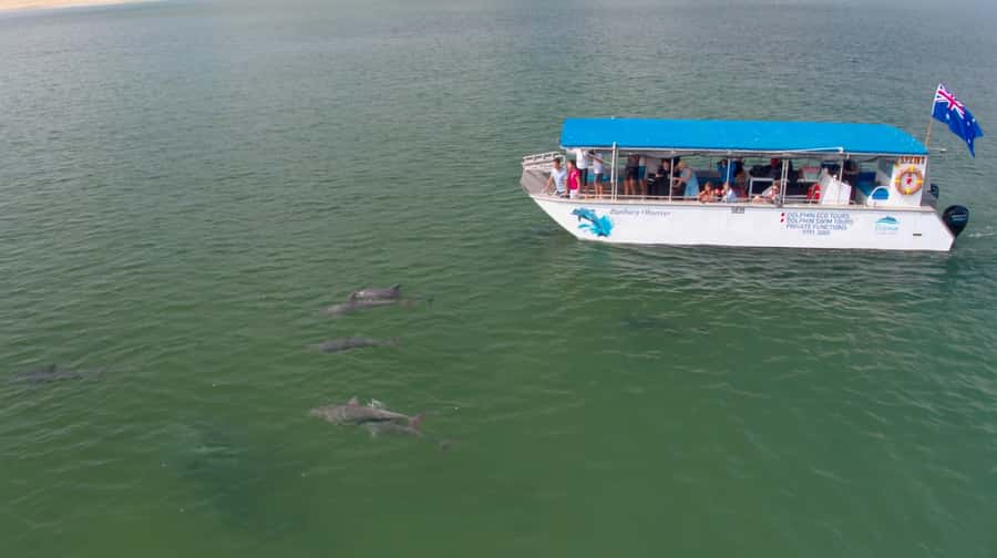 Bunbury: Swim with Dolphins Tour - A crew that helps you feel at ease