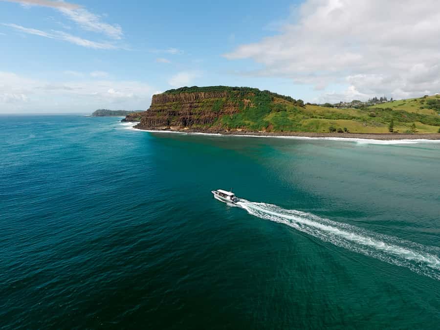 Byron Bay: Cruise with Dolphins Tour - Seeing Ballina and Byron Bay from the water