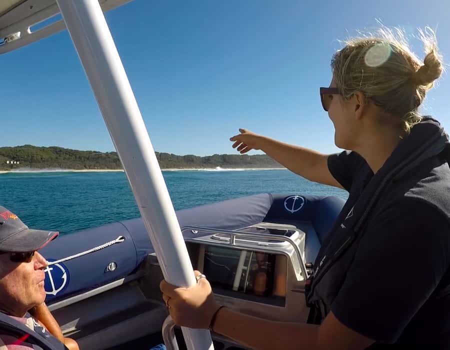 Byron Bay: Cruise with Dolphins Tour - Weather, comfort, and who should skip it