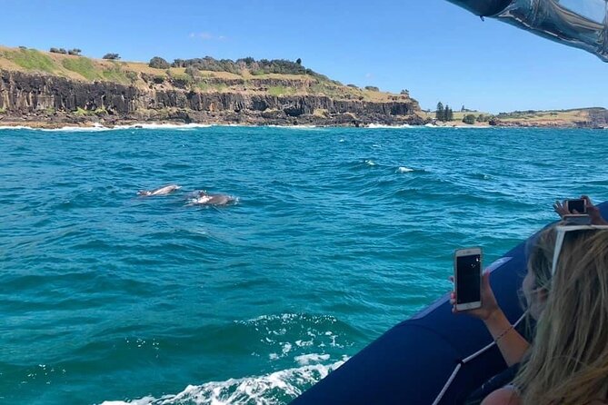 Byron Bay Dolphin Tour - Ocean Safari - Weather, cancellations, and planning around the tour