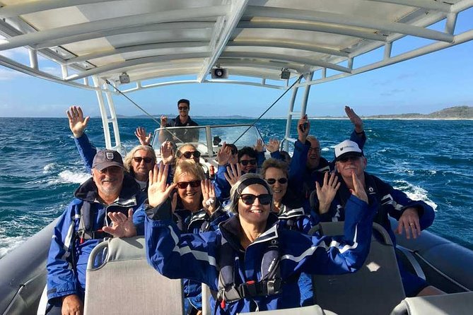 Byron Bay Dolphin Tour - Ocean Safari - Cape Byron Marine Park from the water