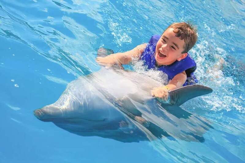 Cabo San Lucas: Dolphin Swim Class with Marine Specialist - Meeting a Dolphin at Cabo Adventures