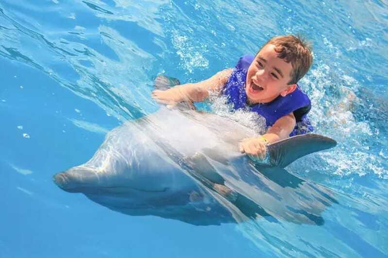 Cabo San Lucas: Dolphin Swim Class with Marine Specialist - Is $169 a Fair Price?