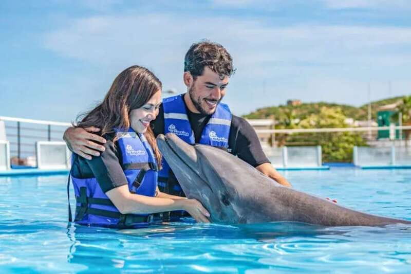 Cabo San Lucas: Dolphin Swim Class with Marine Specialist - Why the Marine Mammal Lesson Matters