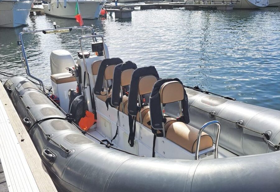 Calheta: Whale & dolphin watching small groups designer tour - Setting out from Calheta Marina