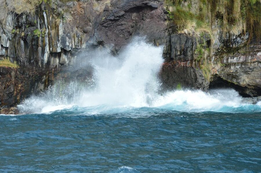 Calheta: Whale & dolphin watching small groups designer tour - Whale and dolphin watching from a five-person boat