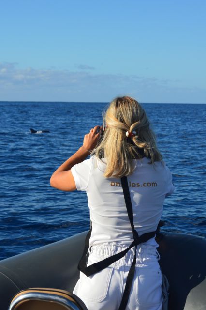 Calheta: Whale & dolphin watching small groups designer tour - The swimming and snorkeling stop