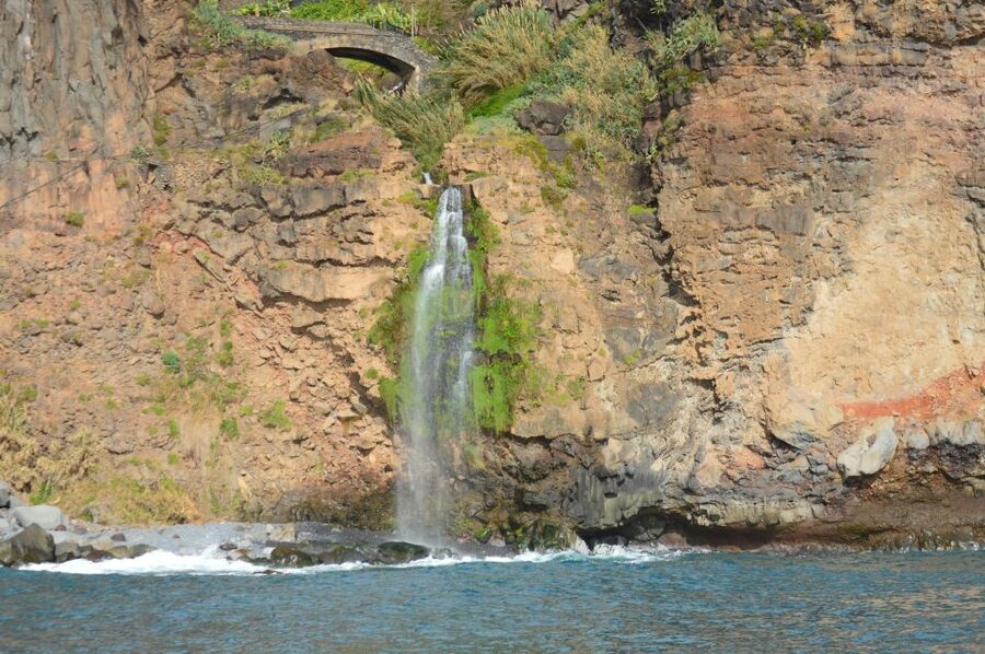 Calheta: Whale & dolphin watching small groups designer tour - Who will enjoy this On Tales trip most