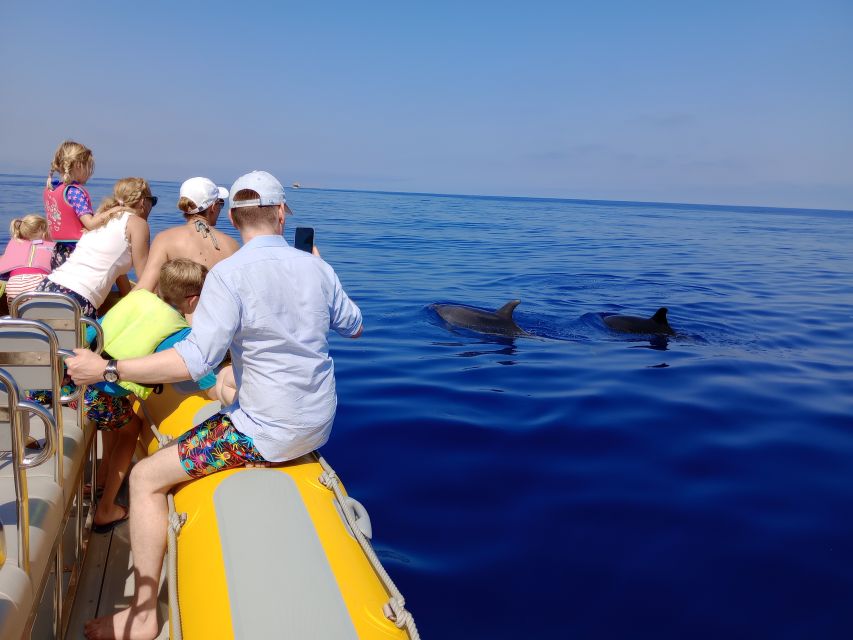 Can Picafort: Dolphin Watching Boat Tour, Swimming stop - Setting out from Can Picafort Yacht Club