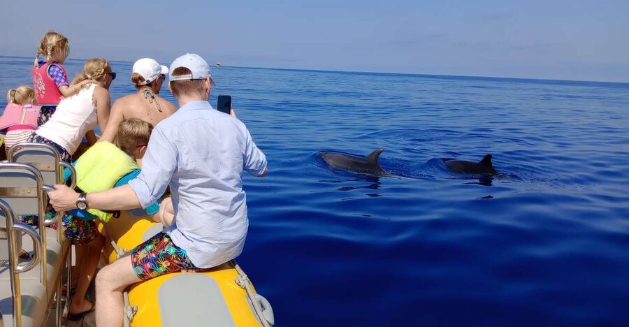 Can Picafort: Dolphin Watching Boat Tour, Swimming stop - Sunrise departures and the changing light